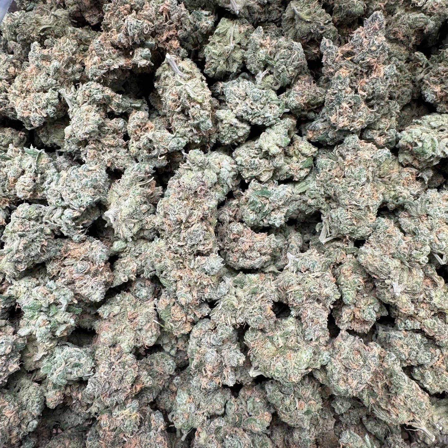 Blue Dream