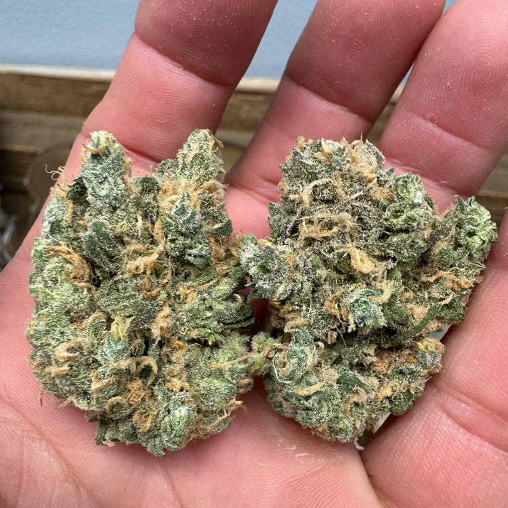 Blue Dream