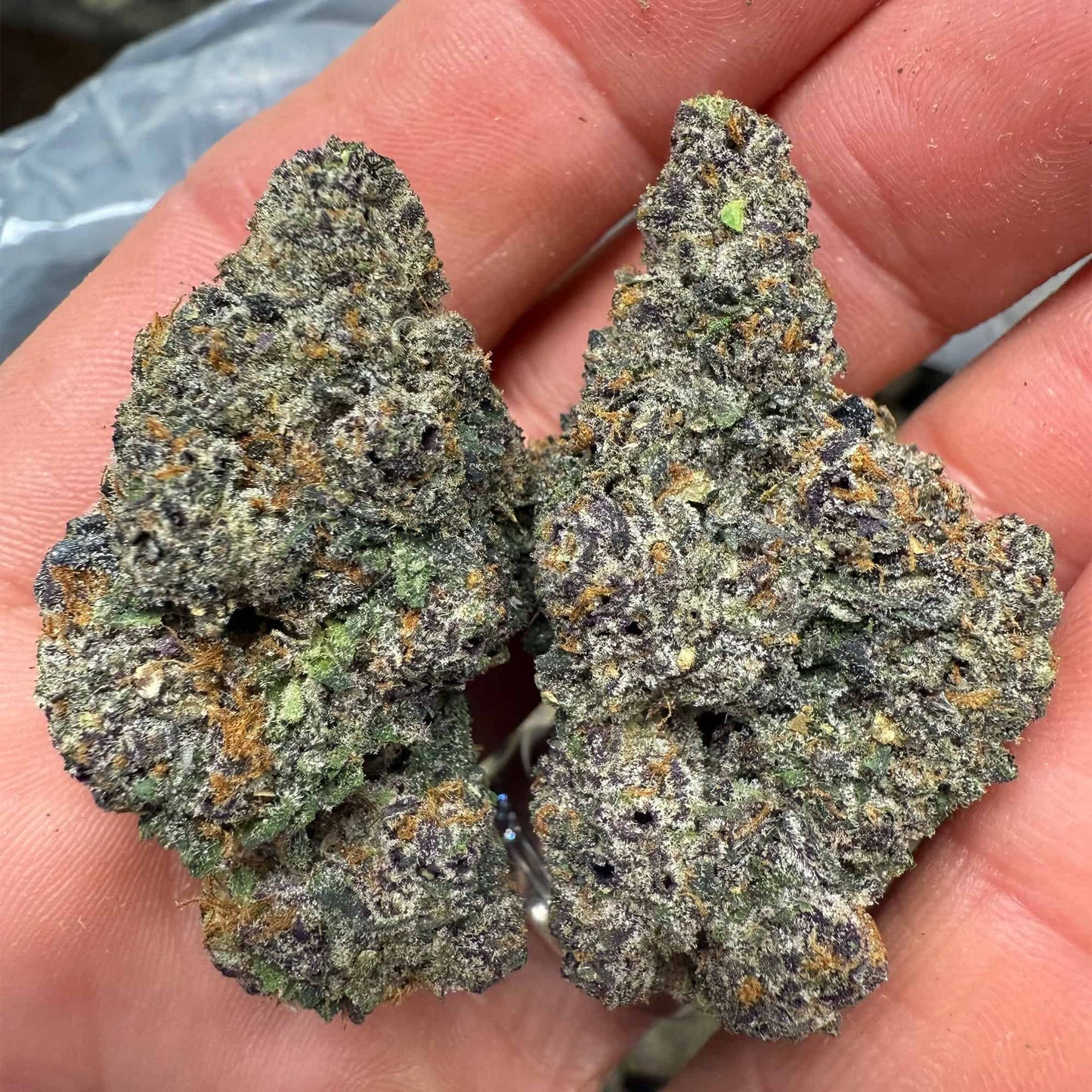Purple Runtz