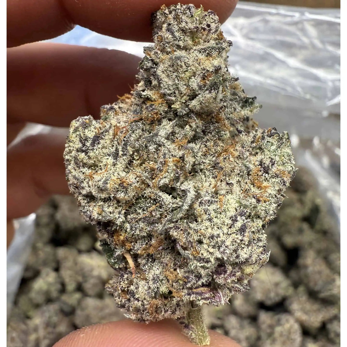 Unicorn Candy