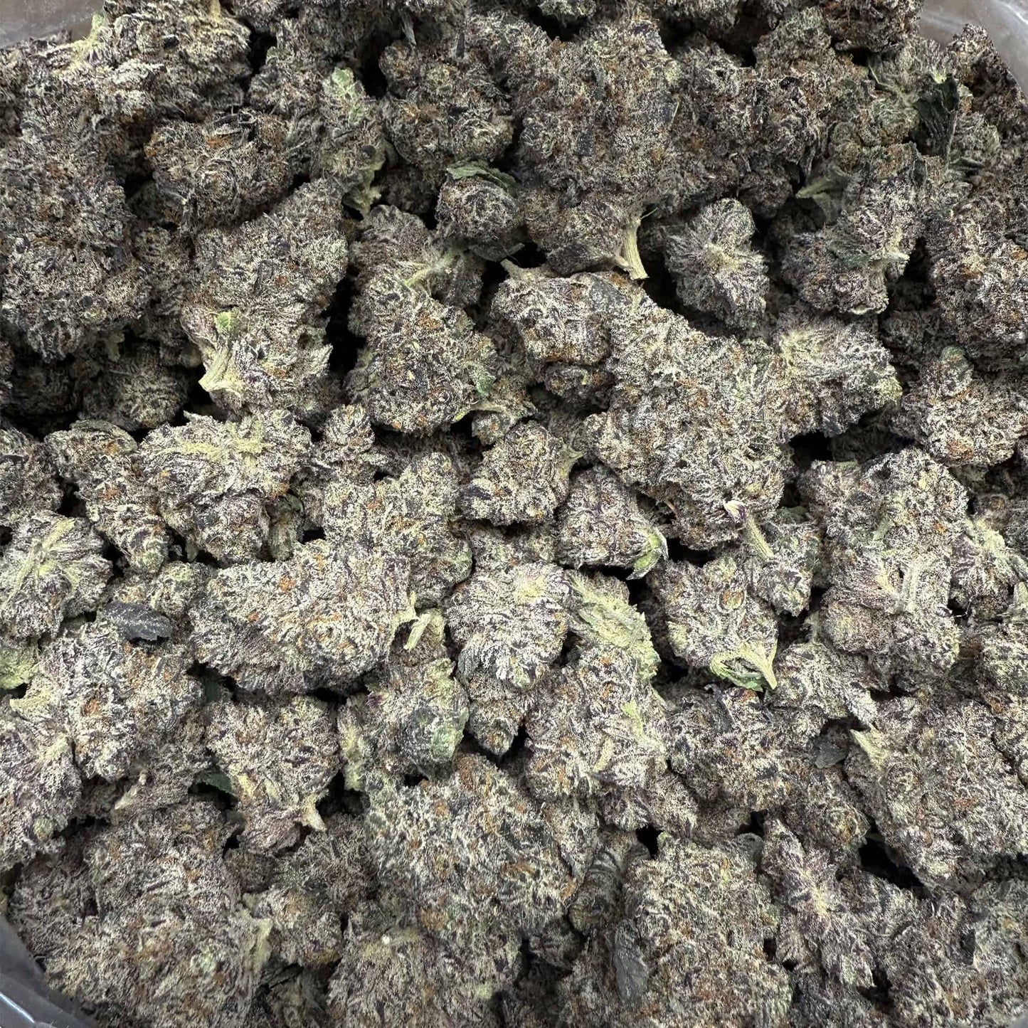Unicorn Candy