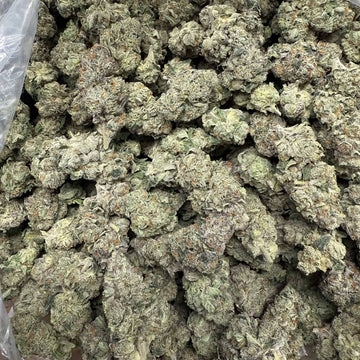 Elevate Your Relaxation, Embrace Pure Bliss