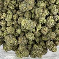 White Truffle
