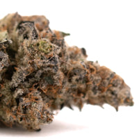 Raspberry Runtz #2
